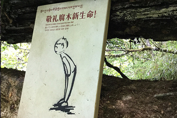 旅游景區標牌 旅游景區標牌