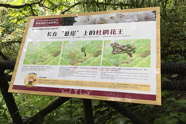 園林標識 園林標識