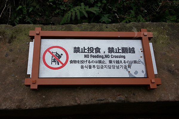 不銹鋼 不銹鋼