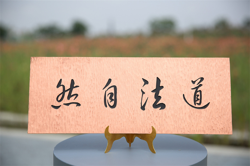 U62B2854_副本.jpg