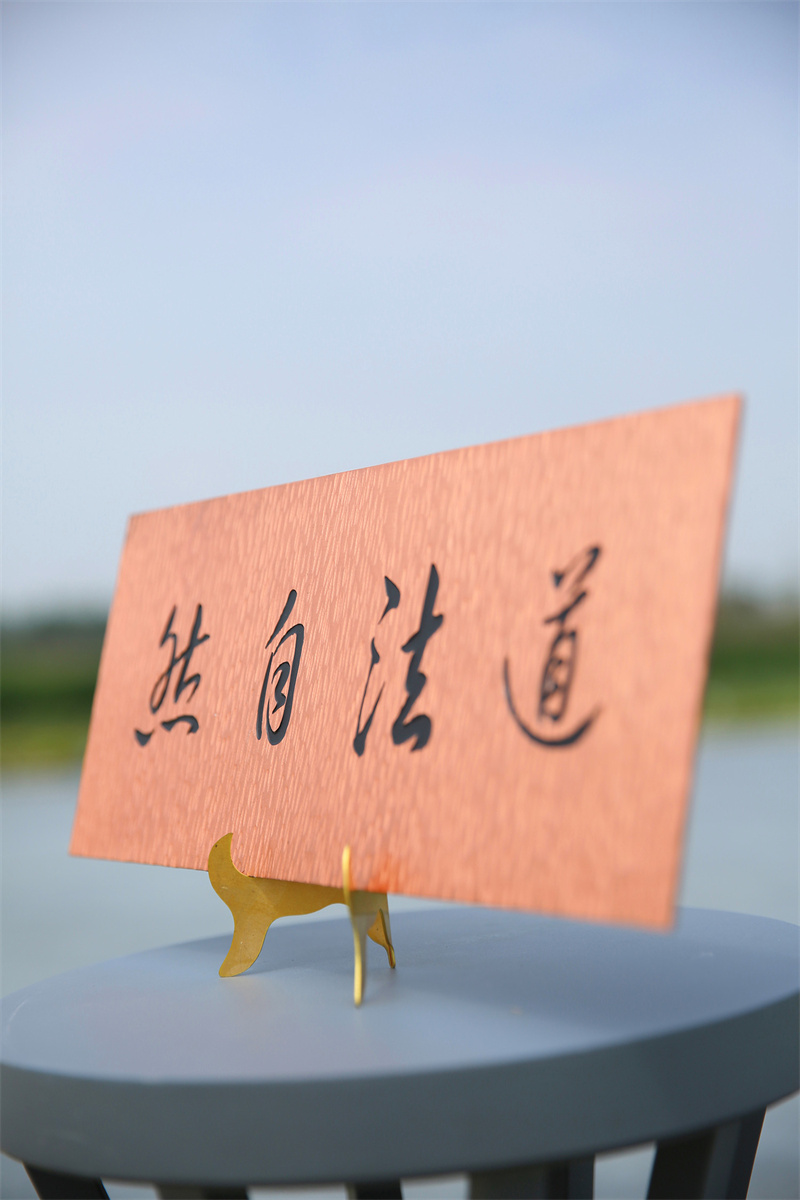 U62B2865_副本.jpg